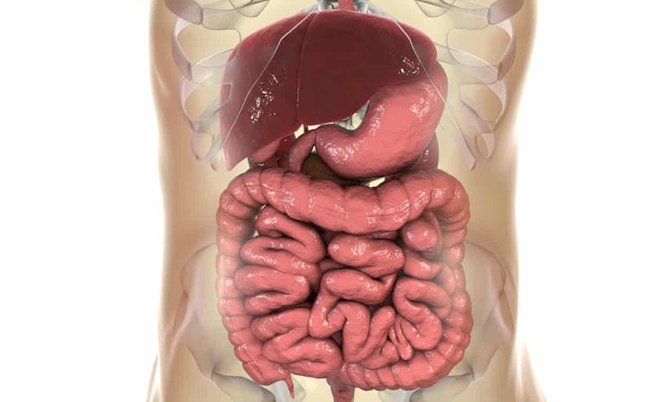 Một số vi khuẩn đường ruột có thể làm tăng nguy cơ ung thư ruột - 1 Một số vi khuẩn đường ruột có thể làm tăng nguy cơ ung thư ruột - 1