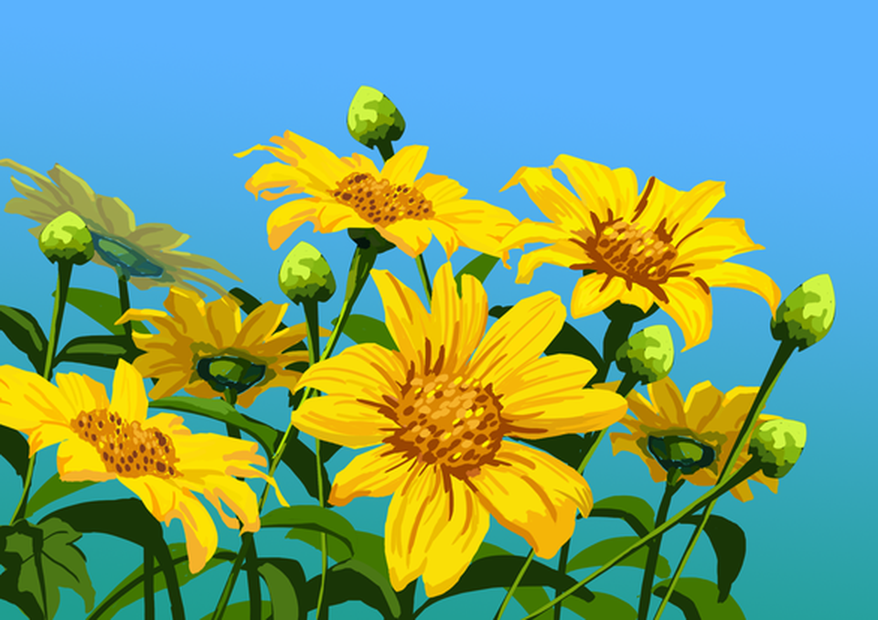 Phố Bên Đồi đưa Dốc Nhà Làng Đà Lạt Vào miền nghệ thuật - 4 Phố Bên Đồi đưa Dốc Nhà Làng Đà Lạt Vào miền nghệ thuật - 4