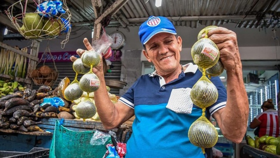 Quả được ví là thần dược phòng the, từng mọc hoang nay khách lùng mua hết vèo vèo - 4