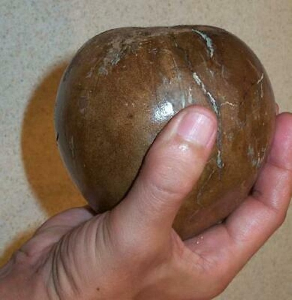 Quả được ví là thần dược phòng the, từng mọc hoang nay khách lùng mua hết vèo vèo - 8