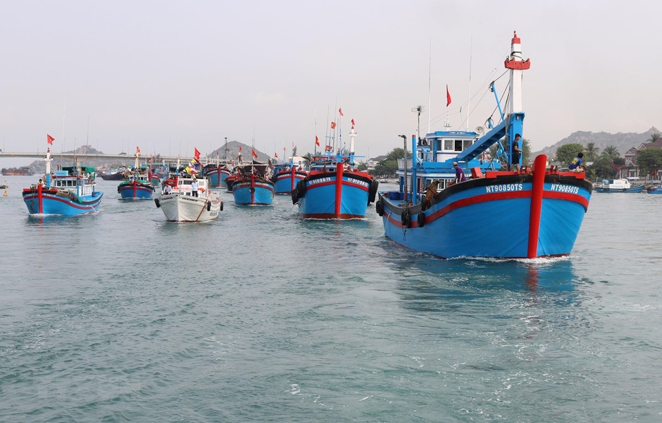 Nỗ lực tháo gỡ “thẻ vàng” cho thủy sản Việt Nam - 2 Nỗ lực tháo gỡ “thẻ vàng” cho thủy sản Việt Nam - 2