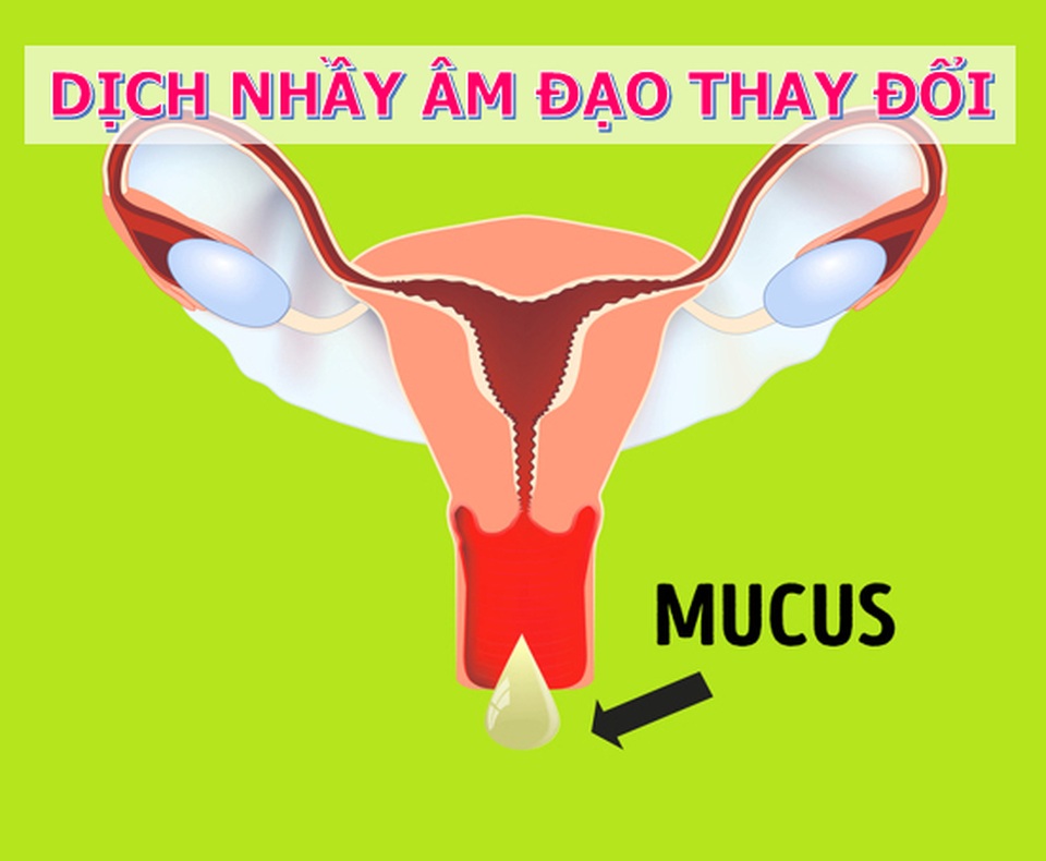 Những dấu hiệu “chỉ điểm” thời điểm vàng để thụ thai - 3 Những dấu hiệu “chỉ điểm” thời điểm vàng để thụ thai - 3