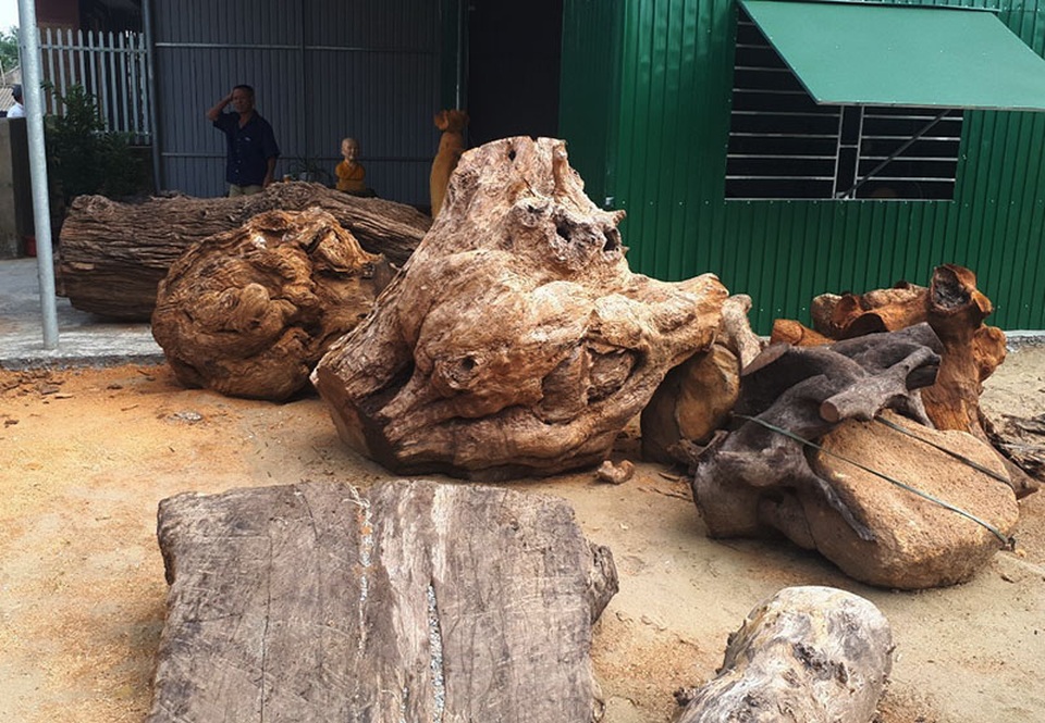 Chàng trai có tài “hô biến” gốc cây thành tượng HLV Park Hang Seo sinh động - 4 Chàng trai có tài “hô biến” gốc cây thành tượng HLV Park Hang Seo sinh động - 4