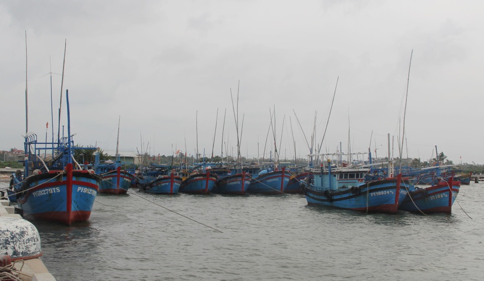 Cấm biển, cưỡng chế các hộ dân khu vực nguy hiểm để ứng phó với bão số 6 - 1 Cấm biển, cưỡng chế các hộ dân khu vực nguy hiểm để ứng phó với bão số 6 - 1