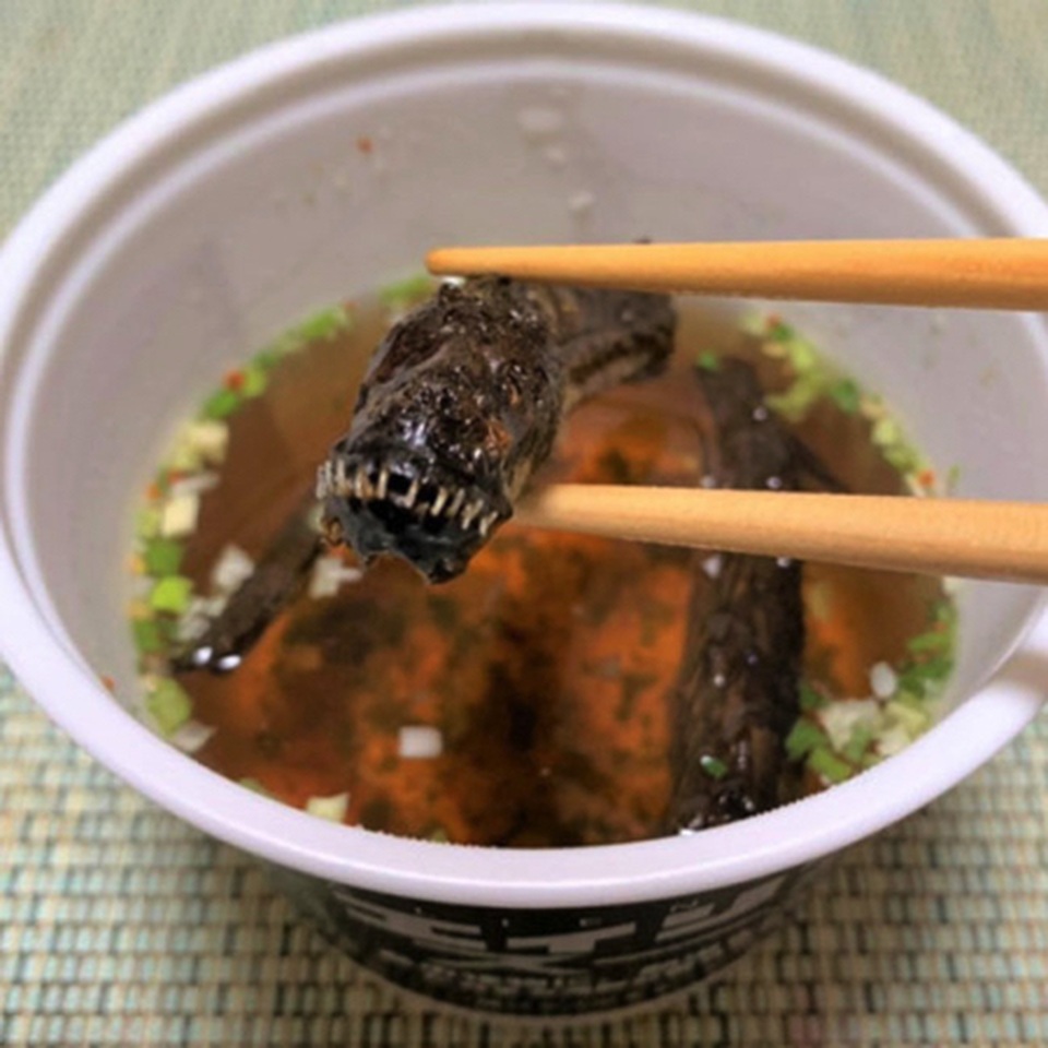 Kỳ lạ công ty bán món súp “sinh vật ngoài hành tinh” - 1 Kỳ lạ công ty bán món súp “sinh vật ngoài hành tinh” - 1