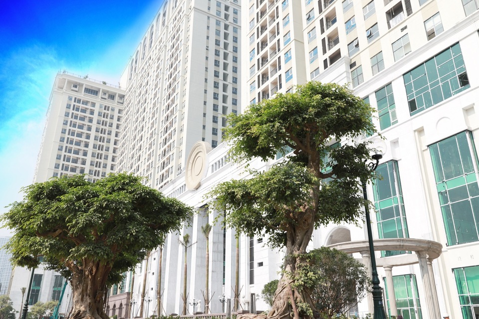 Roman Plaza “khoác áo mới” sẵn sàng bàn giao tháng 12/2019 - 1 Roman Plaza “khoác áo mới” sẵn sàng bàn giao tháng 12/2019 - 1