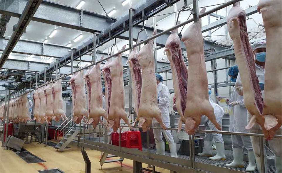 Thịt mát an toàn cho người tiêu dùng, sắp tới bỏ dần thịt nóng - 4 Thịt mát an toàn cho người tiêu dùng, sắp tới bỏ dần thịt nóng - 4