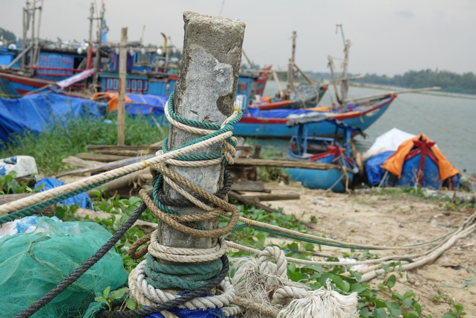 Bộ trưởng Nông nghiệp kiểm tra công tác phòng chống bão số 6 - 8 Bộ trưởng Nông nghiệp kiểm tra công tác phòng chống bão số 6 - 8