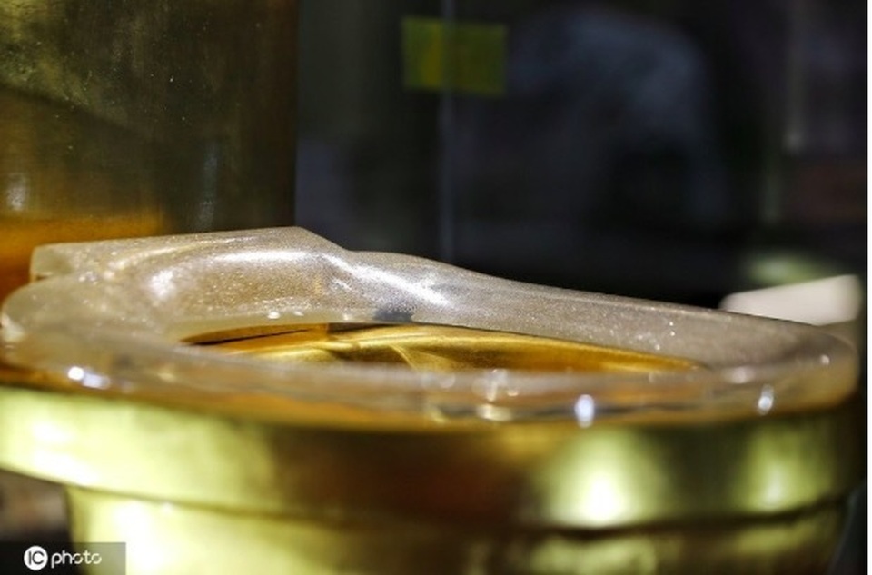 Ngắm bồn cầu vàng nạm hàng vạn viên kim cương - 2 Ngắm bồn cầu vàng nạm hàng vạn viên kim cương - 2