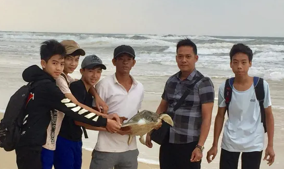 Giải cứu rùa biển mắc kẹt vào tấm lưới trôi trên biển - 1 Giải cứu rùa biển mắc kẹt vào tấm lưới trôi trên biển - 1