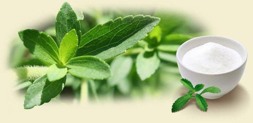 “Nhịn ăn sạch” thúc đẩy giảm cân như thế nào? - 1 “Nhịn ăn sạch” thúc đẩy giảm cân như thế nào? - 1