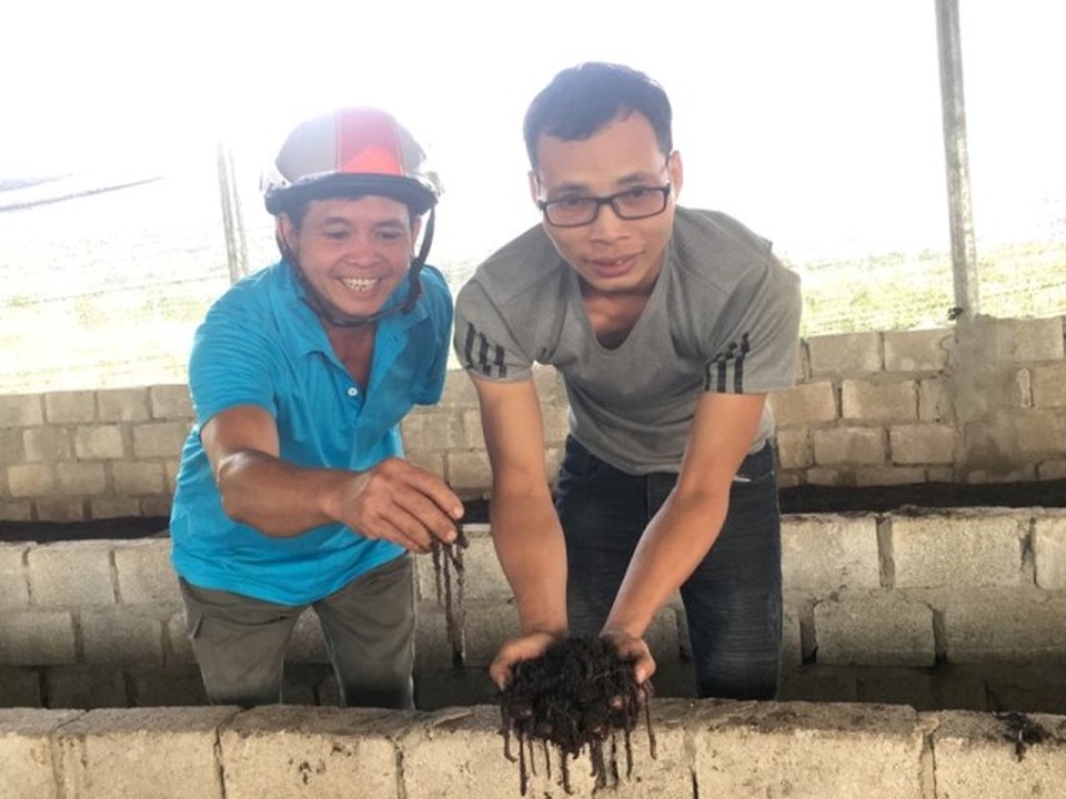Cất bằng kỹ sư cơ khí, 8X về quê nghịch phân bò, lời 50 triệu/tháng - 1 Cất bằng kỹ sư cơ khí, 8X về quê nghịch phân bò, lời 50 triệu/tháng - 1