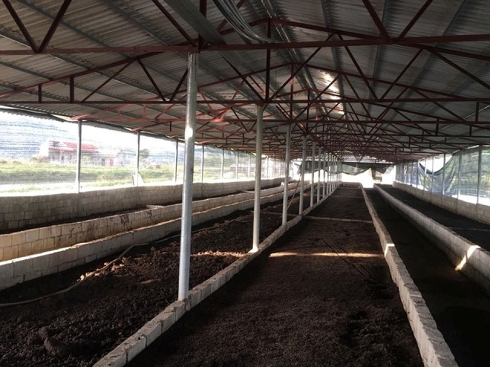 Cất bằng kỹ sư cơ khí, 8X về quê nghịch phân bò, lời 50 triệu/tháng - 3 Cất bằng kỹ sư cơ khí, 8X về quê nghịch phân bò, lời 50 triệu/tháng - 3