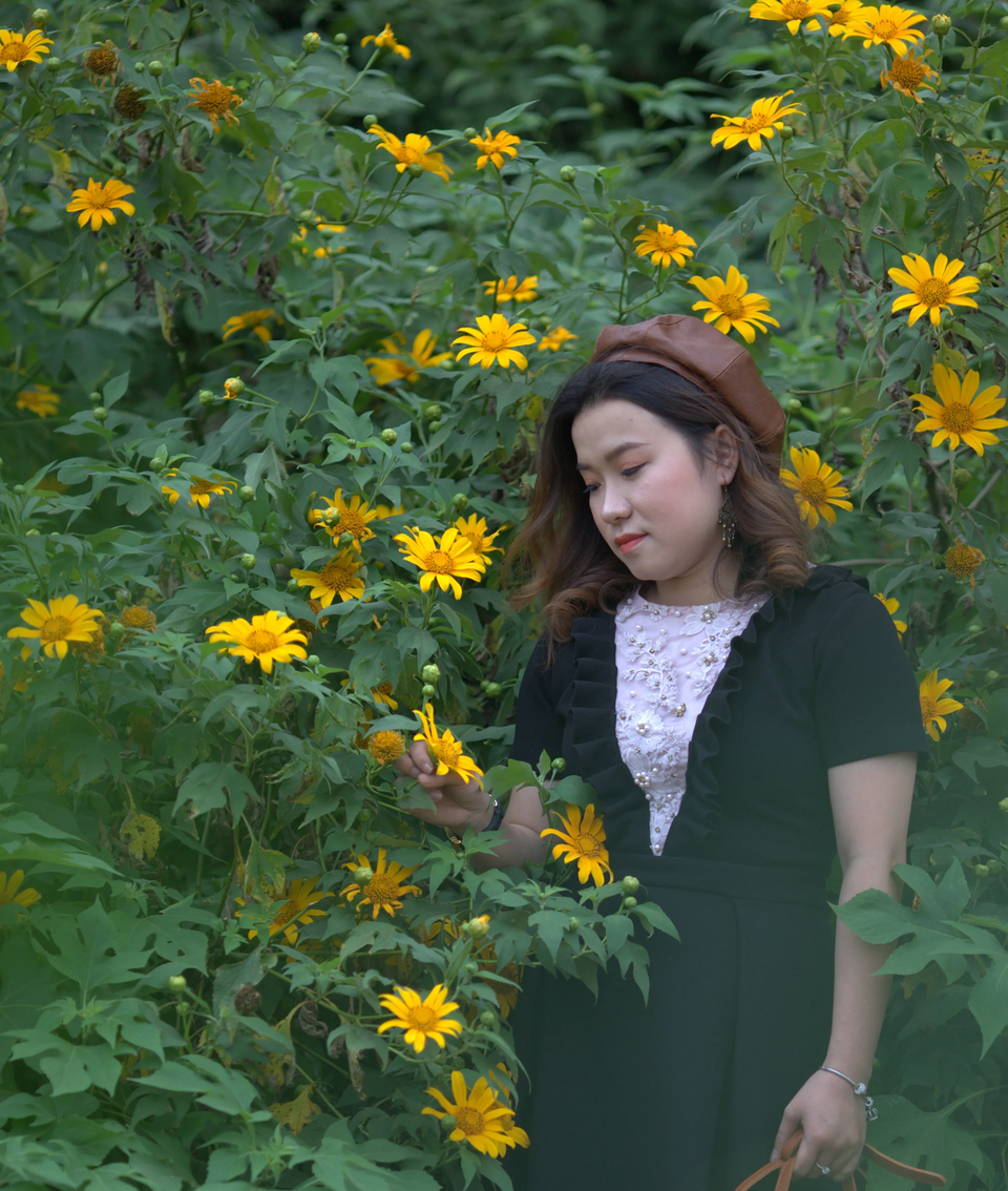 Du khách nườm nượp về miền Tây Quảng Trị thưởng thức vẻ đẹp hoa dã quỳ - 5