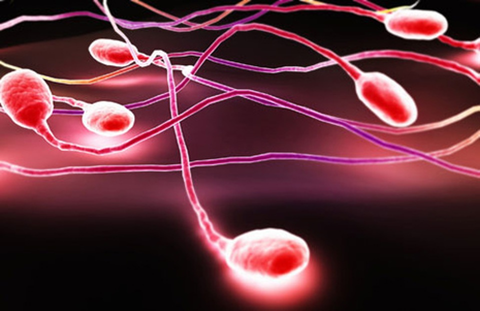 Bắt bệnh qua màu sắc tinh dịch - 1 Bắt bệnh qua màu sắc tinh dịch - 1