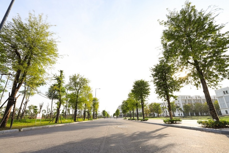 Thị trường địa ốc sôi động cùng đợt mở bán mới của The Manor Central Park - 2