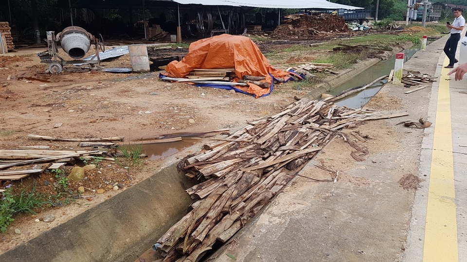 Thừa Thiên Huế: Nhiều trạm thu mua lâm sản làm sai chưa được xử lý triệt để - 12 Thừa Thiên Huế: Nhiều trạm thu mua lâm sản làm sai chưa được xử lý triệt để - 12