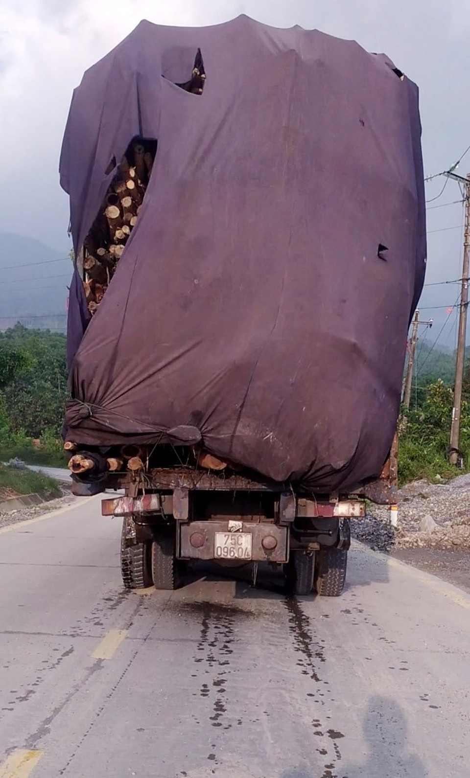 Thừa Thiên Huế: Nhiều trạm thu mua lâm sản làm sai chưa được xử lý triệt để - 8 Thừa Thiên Huế: Nhiều trạm thu mua lâm sản làm sai chưa được xử lý triệt để - 8