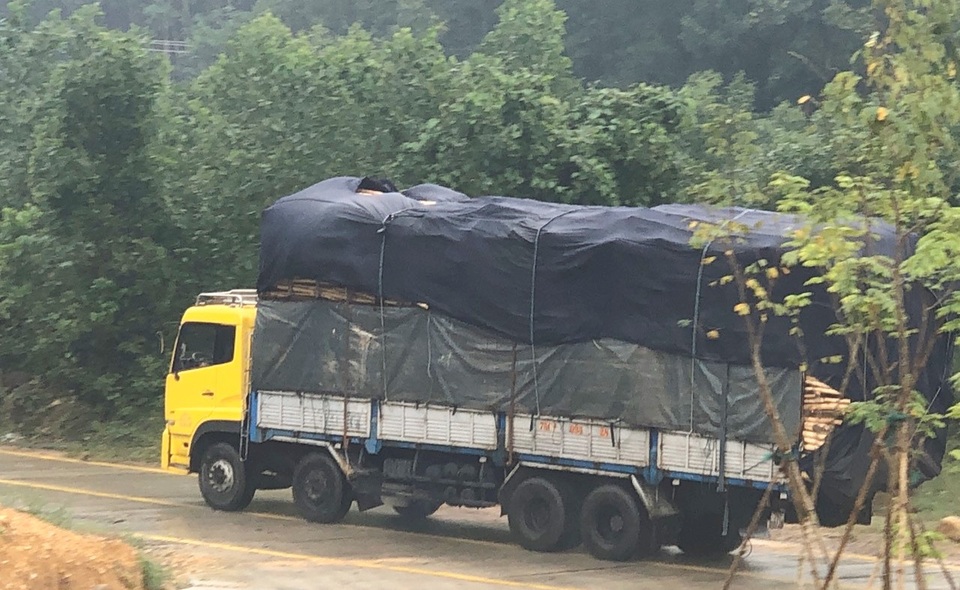 Thừa Thiên Huế: Nhiều trạm thu mua lâm sản làm sai chưa được xử lý triệt để - 16 Thừa Thiên Huế: Nhiều trạm thu mua lâm sản làm sai chưa được xử lý triệt để - 16