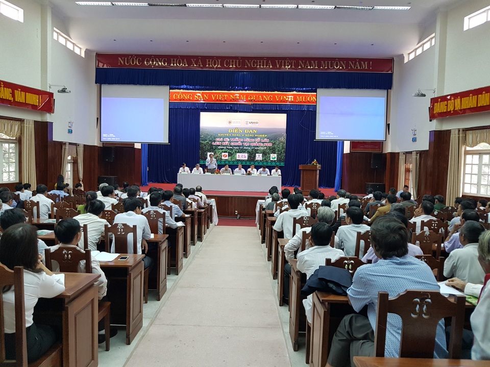 Quảng Nam đẩy mạnh trồng rừng gỗ lớn để hạn chế phá rừng và phát triển kinh tế miền núi