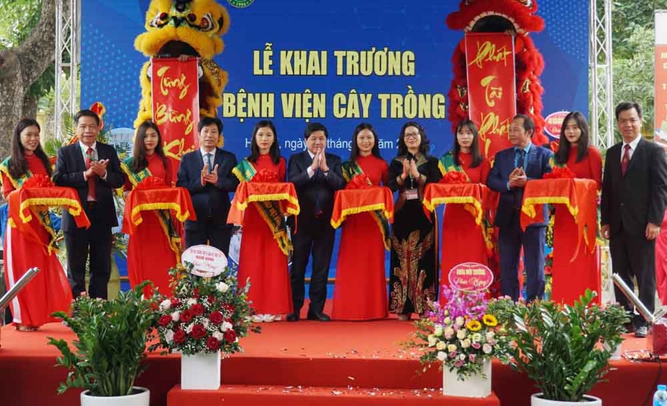 Khai trương bệnh viện chữa bệnh và chăm sóc sức khỏe cho cây trồng - 1 Khai trương bệnh viện chữa bệnh và chăm sóc sức khỏe cho cây trồng - 1