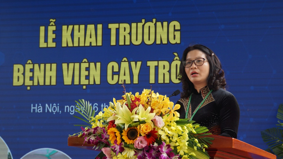 Khai trương bệnh viện chữa bệnh và chăm sóc sức khỏe cho cây trồng - 2 Khai trương bệnh viện chữa bệnh và chăm sóc sức khỏe cho cây trồng - 2