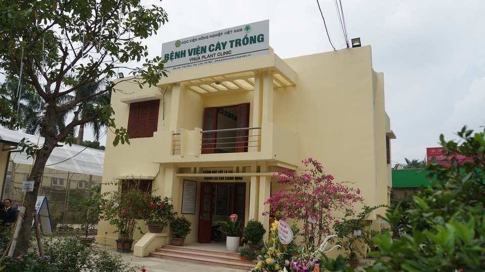 Khai trương bệnh viện chữa bệnh và chăm sóc sức khỏe cho cây trồng - 3 Khai trương bệnh viện chữa bệnh và chăm sóc sức khỏe cho cây trồng - 3