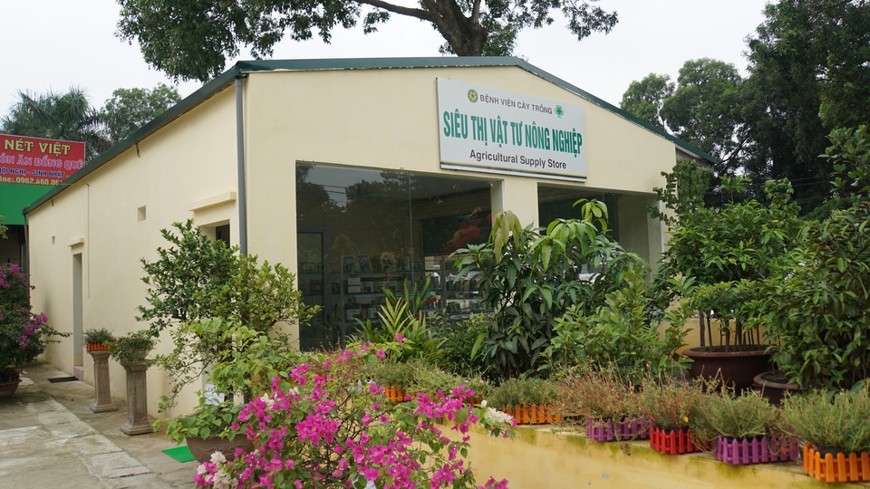 Khai trương bệnh viện chữa bệnh và chăm sóc sức khỏe cho cây trồng - 4 Khai trương bệnh viện chữa bệnh và chăm sóc sức khỏe cho cây trồng - 4