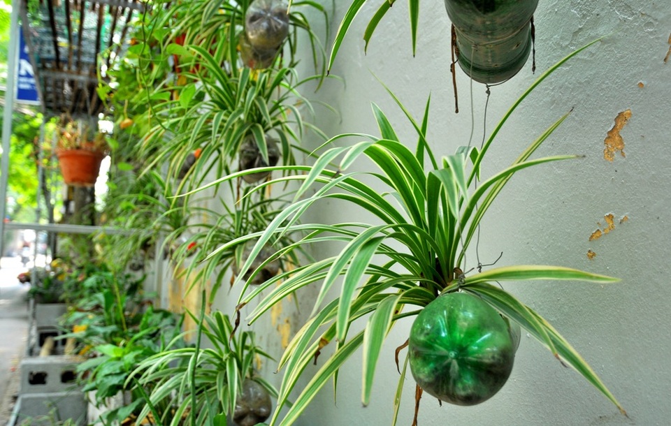 Từ ngày vườn hoa được trồng lên, bãi rác cũng biến mất hoàn toàn. Người dân có ý thức hơn trong việc giữ gìn và bảo vệ môi trường.