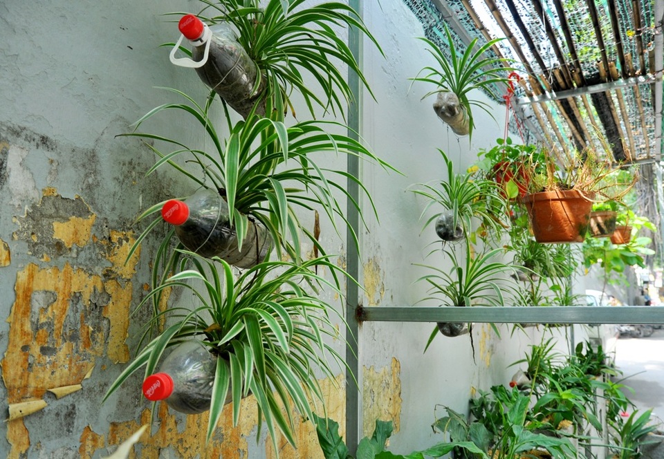 Đàm Thanh Tùng cho biết đây là vườn hoa đầu tiên mà mình bắt tay thực hiện. Ý tưởng xây dựng vườn hoa này là một trong những thử thách trong một cuộc thi mà Tùng cần phải vượt qua.