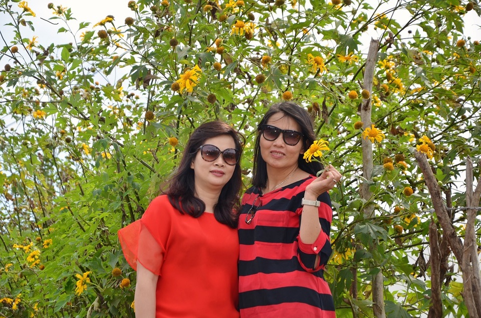 
Nhiều du khách đã lựa chọn dừng chân lại tại khu ⅖ - nơi có những bụi dã quỳ cao và nhiều hoa nhất để ghi lại cho mình những khoảnh khắc thật đẹp bên hoa
