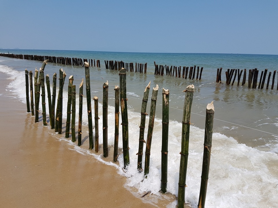 Hai hàng cọc tre cũng nằm ngoài xa