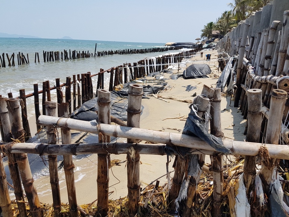 Ba lớp tre để làm móng nhưng không ăn thua