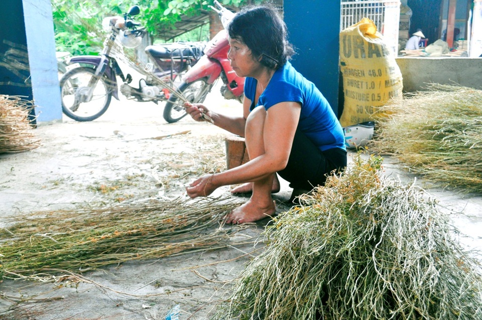 Mỗi lao động làm cho thu nhập từ 100-150 ngàn/ngày