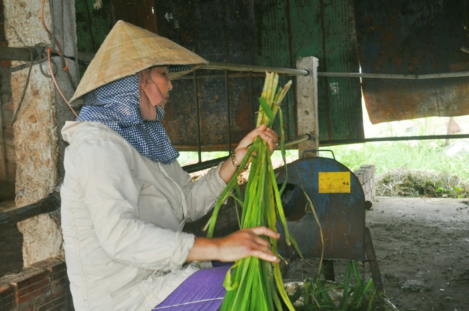Người phụ nữ giỏi làm kinh tế và có tấm lòng thiện nguyện, hết mình vì người có hoàn cảnh khó khăn