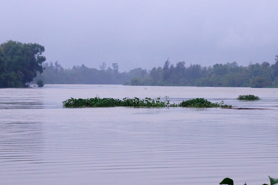 Đến nay trên địa bàn Quảng Nam đã có 5 người chết và mất tích trong đợt lũ vừa qua