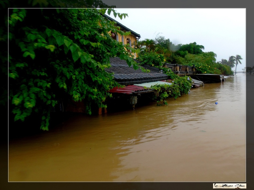 Ngắm vẻ đẹp "lạ" của Hội An trong mùa nước lụt - 14 Chỉ có một màu nước vàng đục