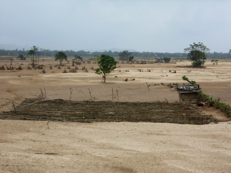 Bãi bồi trồng rau, màu của người dân Nam Phước, Duy Xuyên bị vùi lấp hoàn toàn