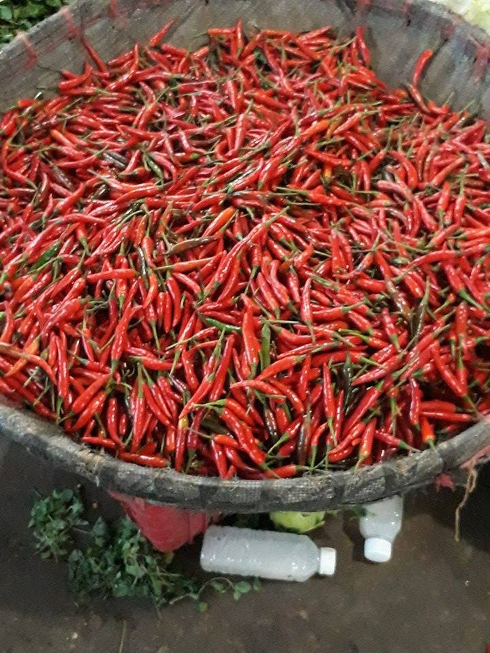 Sau mưa lũ, hơn trăm ngàn cân ớt vẫn không có mà bán - 2 Giá cao gây khó khăn cho người bán và cả người mua
