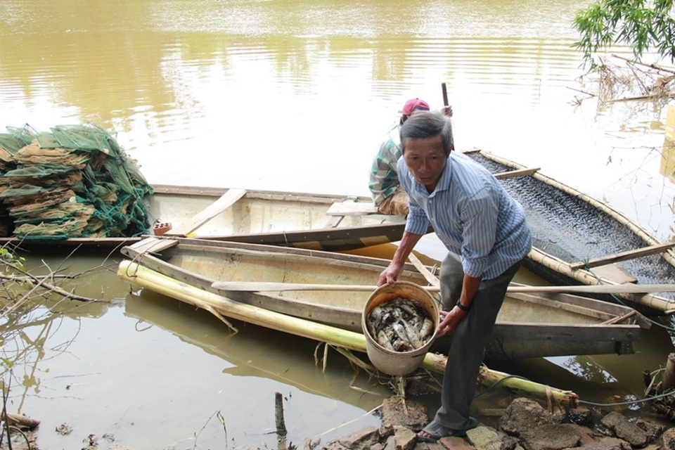 Sau khi xuất hiện cá chết, ông Hưng đã vớt một số để chờ xử lý do không chịu được mùi hôi 