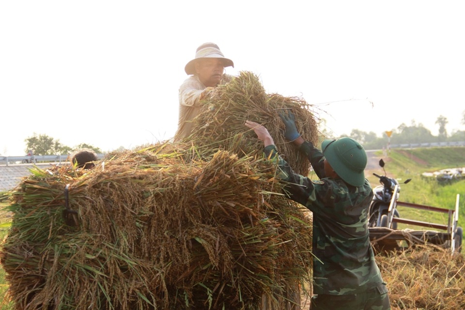 Gia đình ông Lâm có hơn 3 sào bị ngập úng