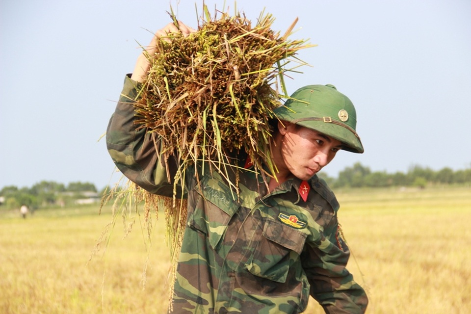 Chiến sĩ Trịnh Vĩnh Đạt giúp nông dân chuyển lúa lên bờ