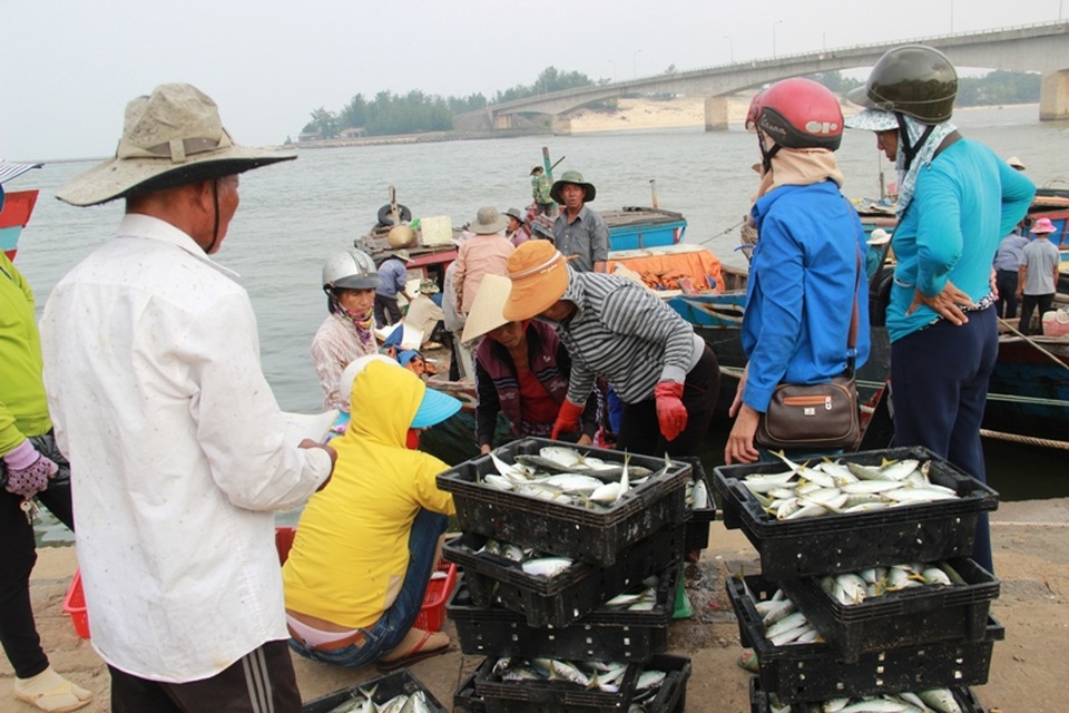 Cá nục sống ở tầng nổi được xác định là an toàn để sử dụng