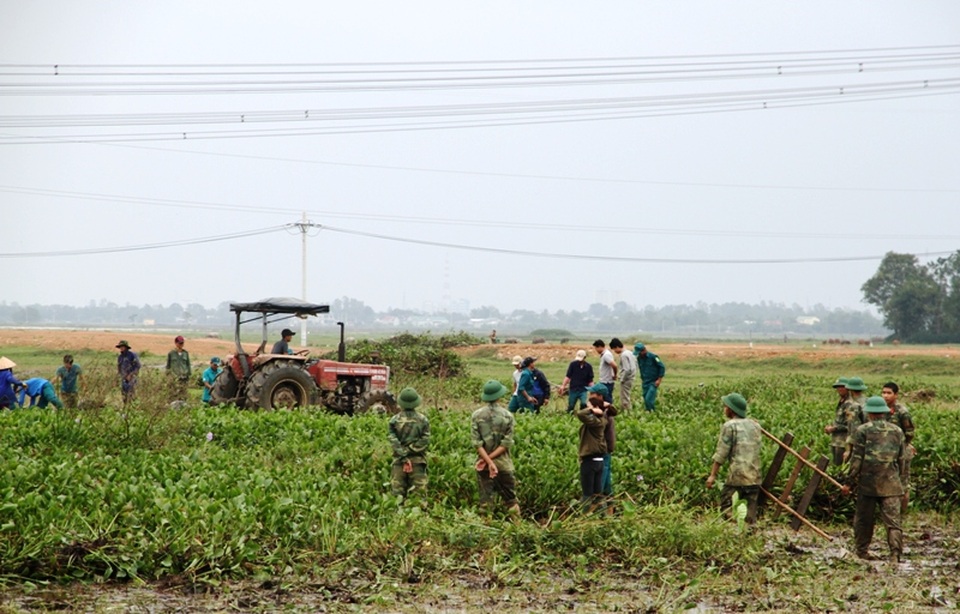 
Nhiều diện tích ruộng bị phủ kín bèo đã được bạn trẻ thu gom
