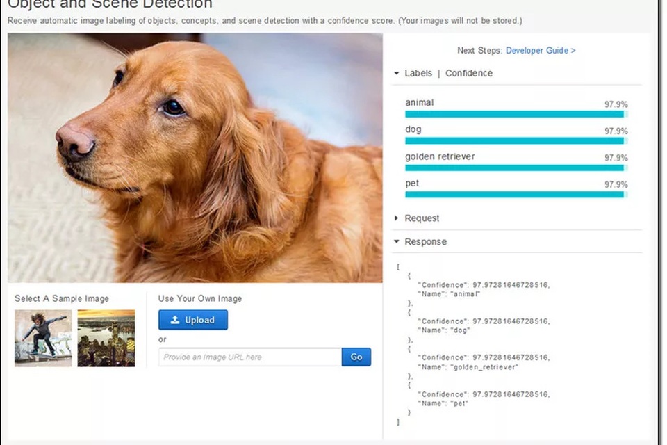 AI của Amazon phân biệt được giống chó Golden Retriever