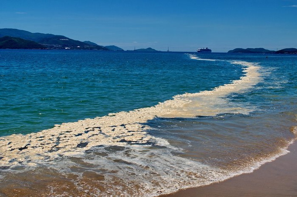 Hiếu kỳ xem dải bọt “lạ” dài 1km xuất hiện trên Vịnh Nha Trang - 1
Dải bọt lạ xuất hiện trên mặt nước Vịnh Nha Trang trưa 13/9 (Ảnh: H.V.N)