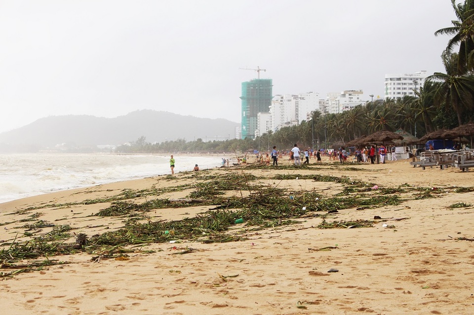 Hàng tấn rác dạt về "bãi biển hấp dẫn hàng đầu thế giới" - 2