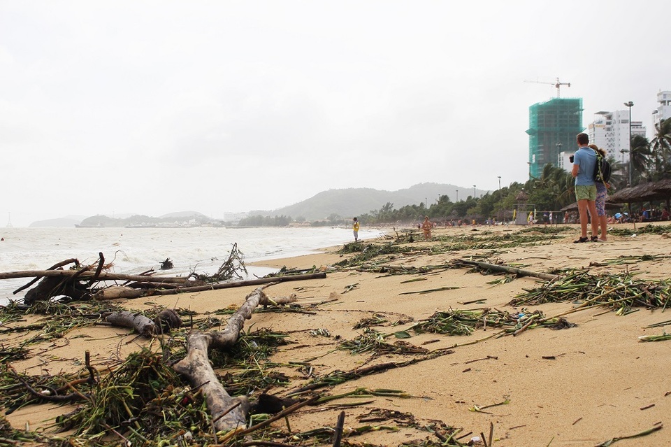 Hàng tấn rác dạt về "bãi biển hấp dẫn hàng đầu thế giới" - 5