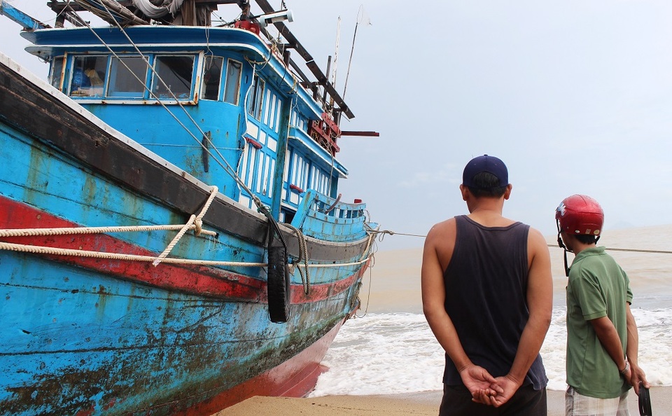 Tàu cá của anh Bình hành nghề câu cá ngừ đại dương ở Hoàng Sa, Trường Sa, nhà giàn DK1. Sau 2 ngày bị mắc cạn, đến trưa 5/11, anh Bình vẫn đang nỗ lực liên hệ với ngành chức năng để kéo con tàu ra khỏi bãi biển Nha Trang càng sớm càng tốt