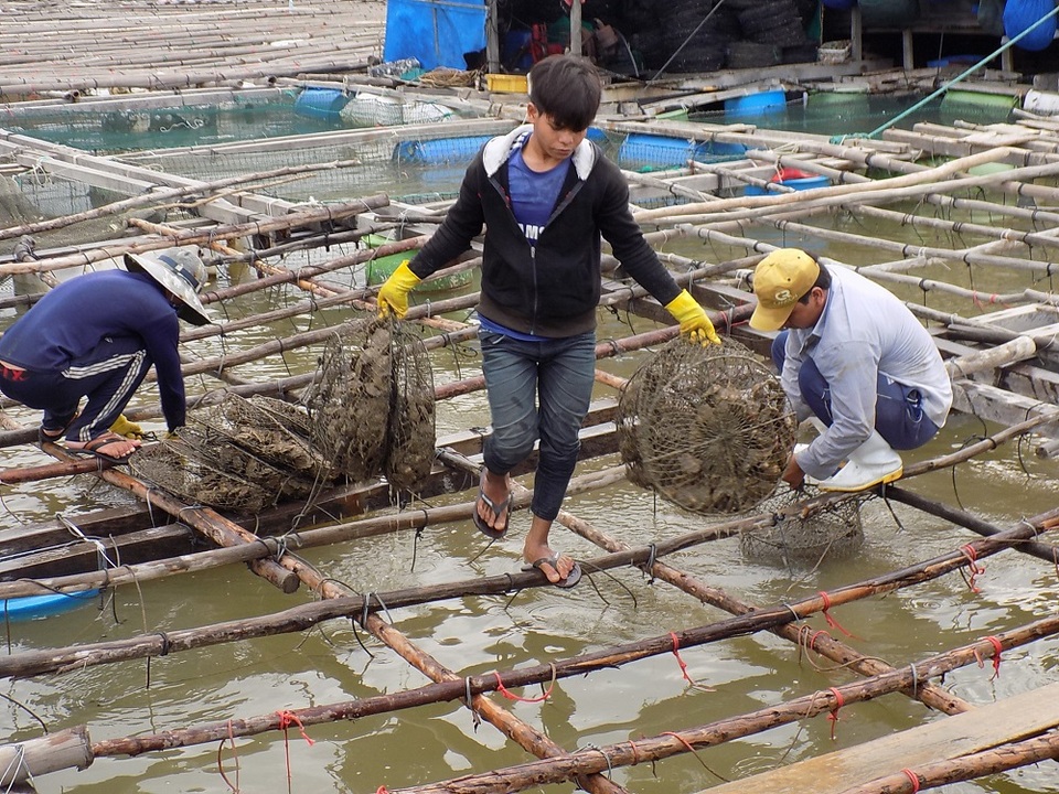 Nghề "độc", kiếm hàng chục triệu đồng mỗi tháng - 2